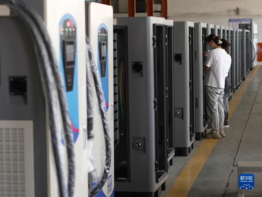最新真人游戏
